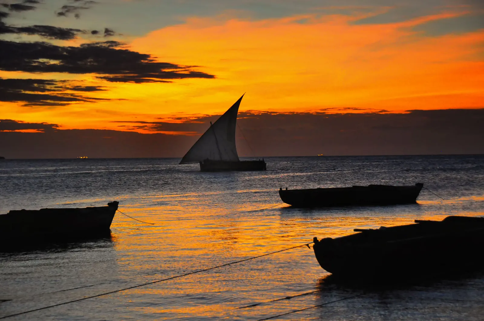 Wooden dhow sailing at sunset off Zanzibar